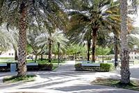 Membership At Dubai Parks 