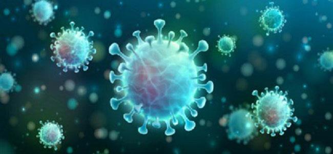 دراسة تكشف عدم وجود طفرات لفيروس كورونا تزيد من قدرته على الانتشار