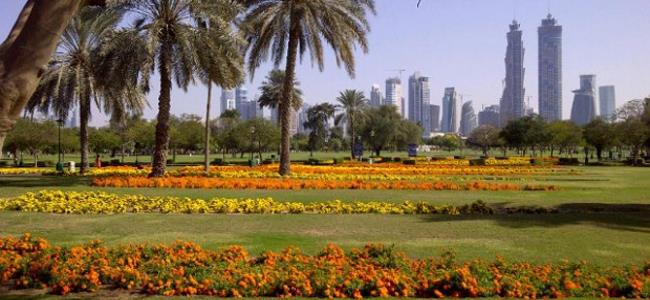 Al Safa Park