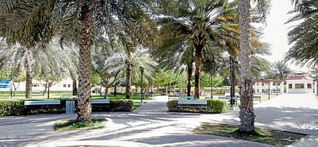 Membership At Dubai Parks 