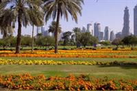 Al Safa Park