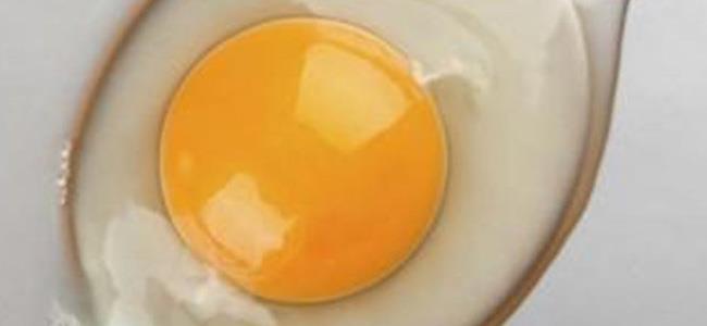  ماذا يحصل إذا تناولت البيض النيء؟