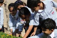 أطفال «المواكب» يزرعون 9000 شتلة زهور